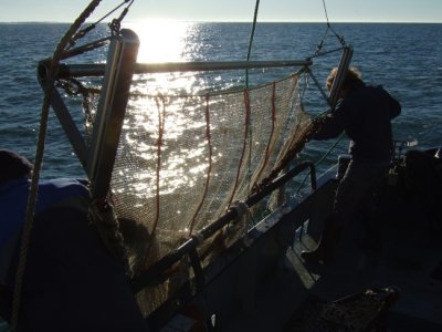 DSCF6481.jpg