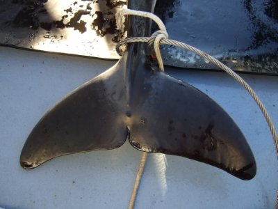 DSCF6500.jpg