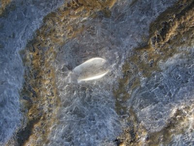 DSCF6517.jpg