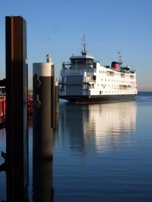 DSCF6528.jpg
