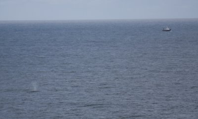 g1/80/802580/3/127968552.T92RMj0D.jpg