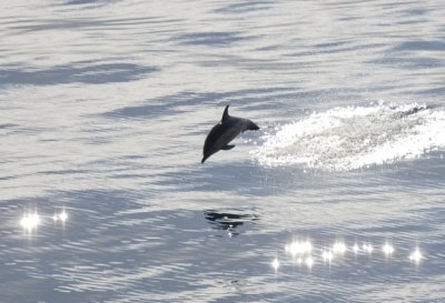 Bay of Biscay 2010