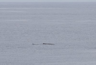 Bay of Biscay 2010