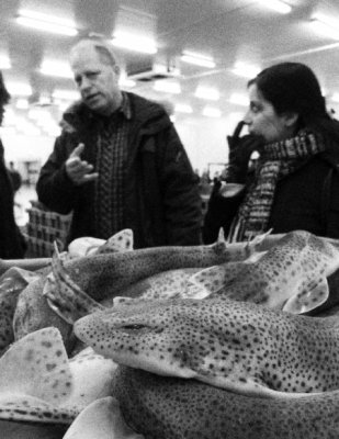 Early morning at Scheveningen Fish Auction