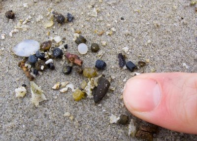 Beach Litter Monitoring Terschelling