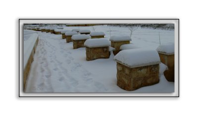 snowy path