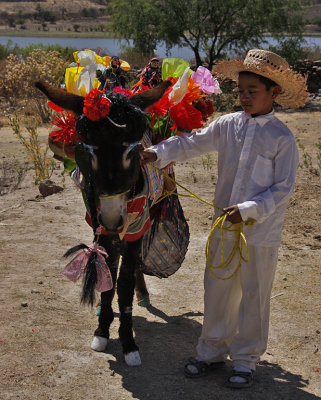 Jalpa Burro Festival Six