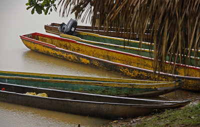 Embera Canoes in Rain
