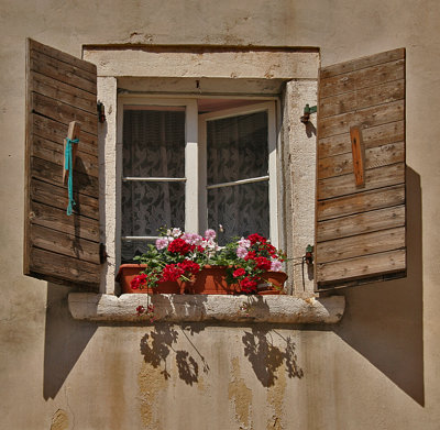 Window with Geraniums