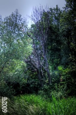 hdr10.jpg