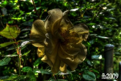 hdr2.jpg