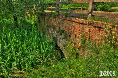 hdr7.jpg