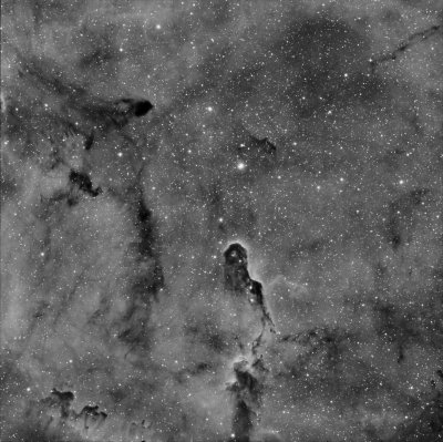 The elephant trunk nebula (aka SH2-131)