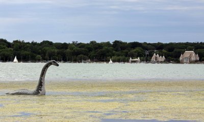 Lake Harriet Creature.jpg