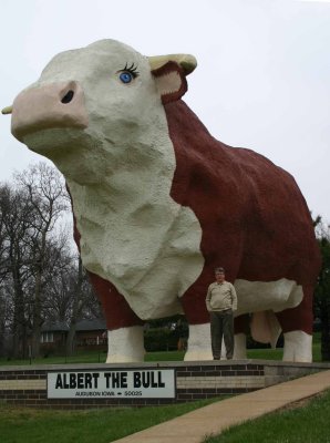 Albert the World's Largest Bull,.jpg