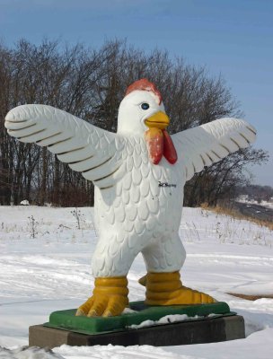 Chicken, Delano Minnesota.jpg