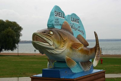 Walleye ,Shell Lake WI.jpg