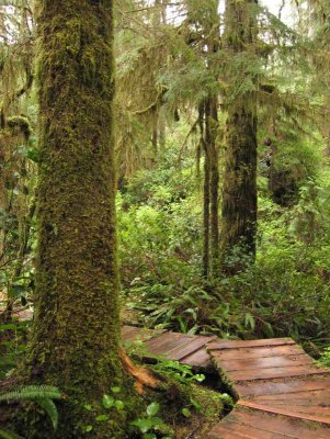 Pacific Rim National Park