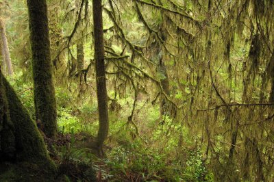 Pacific Rim National Park