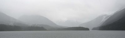 Paysage de l'Île de Vancouver
