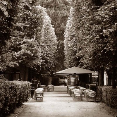 Muse Rodin - Les jardins