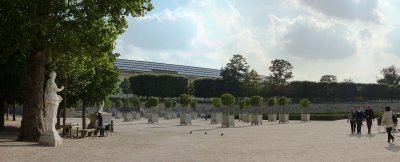 Les orangers des Tuileries