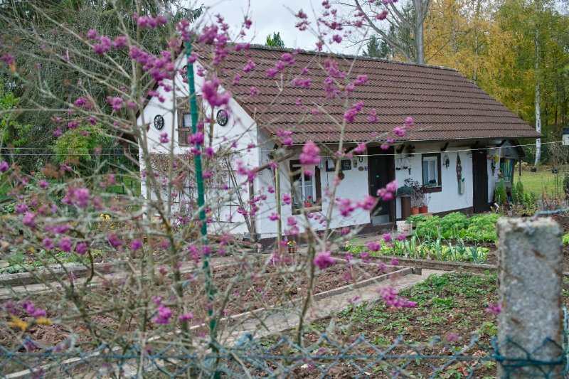 Lovely Garden House