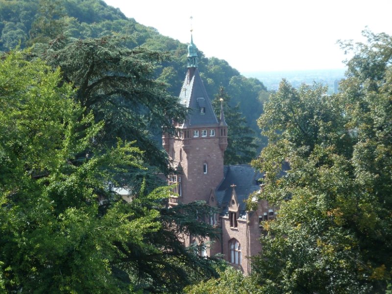 View from the Castle