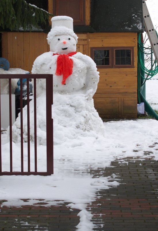 Neighbor's Snowman