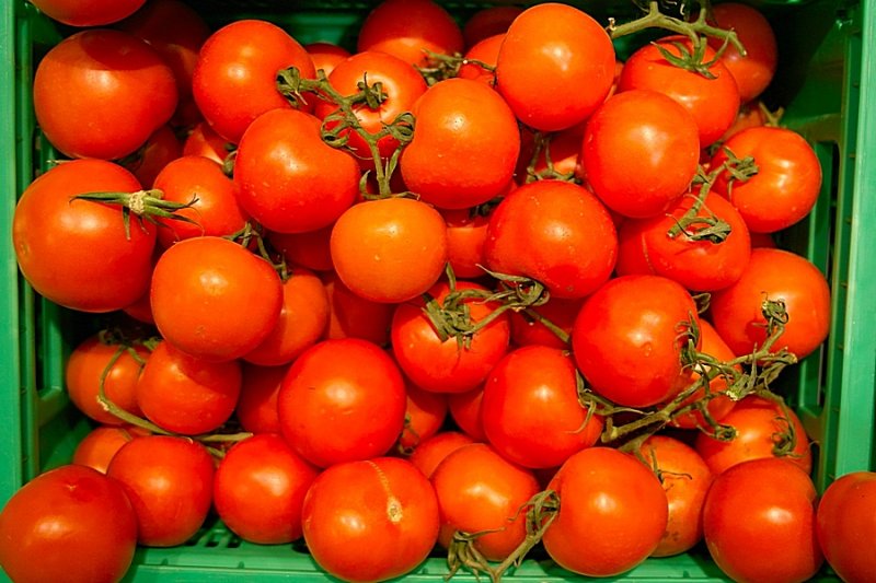 Organic/Bio Tomatoes