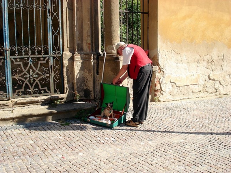 Street Musician