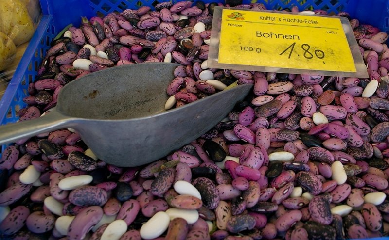 Beans are Picked