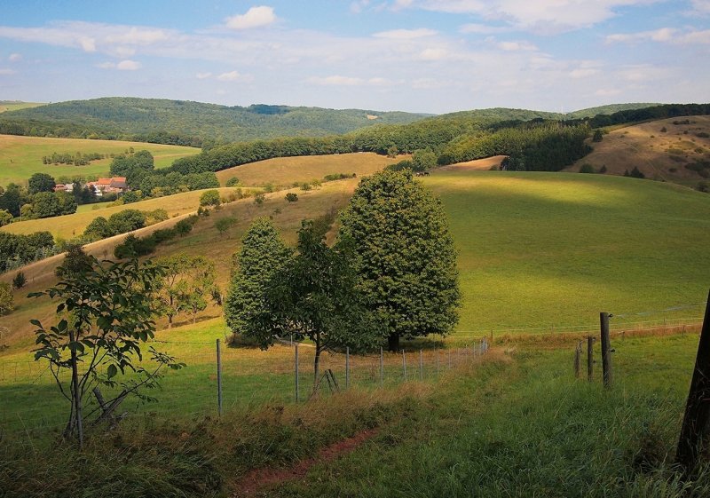 Rolling Hills