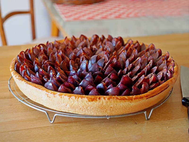 Fresh Zwetschgenkuchen