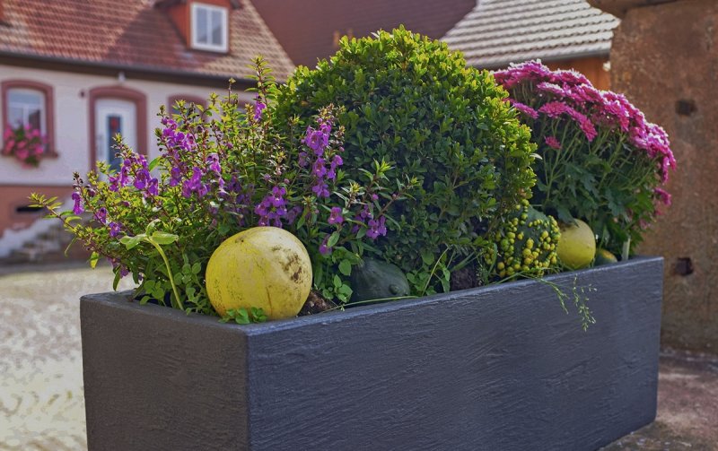 Fall Planter