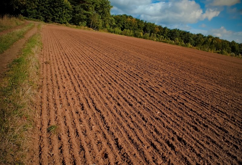 Autumn Farmland