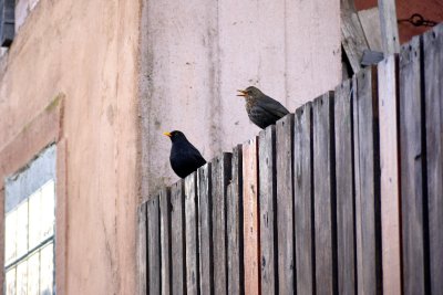 g1/80/968480/3/130646824.m7k5FyKR.jpg
