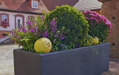 Fall Planter