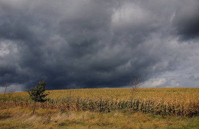 Storm on the Way