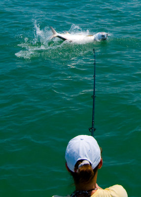 Sara's tarpon jumping 11 2009-05-24