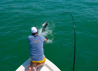Duane breaking off Sara's tarpon 2009-05-24