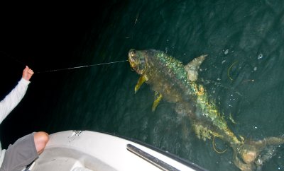 DSC_6011.jpg