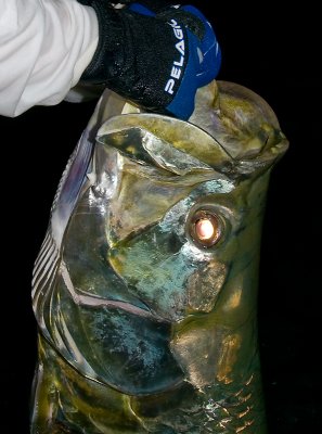 DSC_6093 v2.jpg