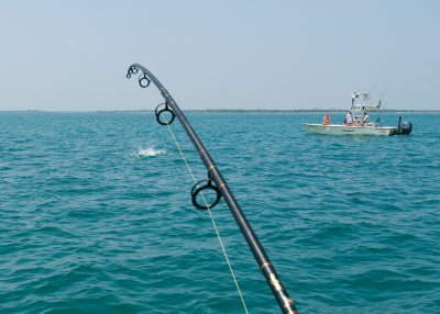DSC_6234.jpg