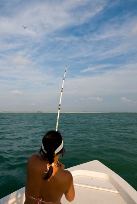 DSC_6291.jpg