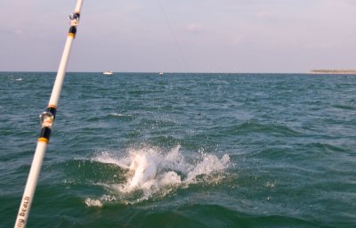 DSC_6302.jpg