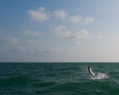 DSC_6307.jpg