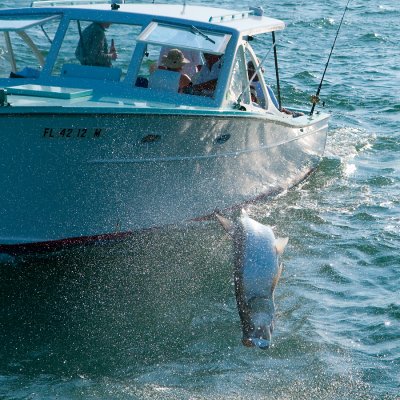 DSC_6727.jpg