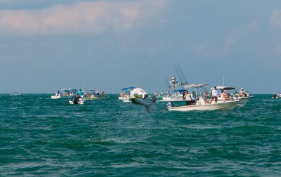 DSC_6977.jpg
