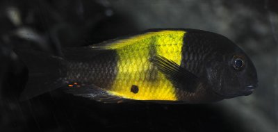 DSC_3128.jpg